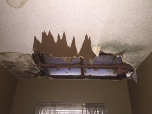 roof damage help